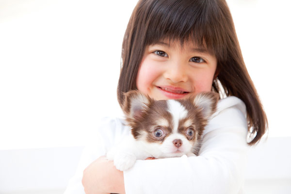 子犬や子猫を迎えたら