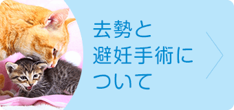 去勢と避妊手術について