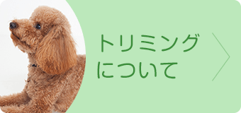 トリミングについて