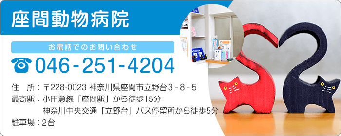 座間動物病院　お電話でのお問い合わせ046-251-4204　住所：〒228-0023 神奈川県座間市立野台2-24-28　最寄駅：小田急線「座間駅」から徒歩15分　神奈川中央交通「立野台」バス停留所から徒歩5分　駐車場：1台