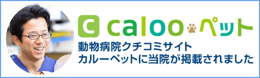 caloo
