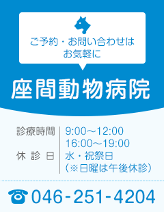 座間動物病院 Tel.046-251-4204 診療時間　9:00〜12:00　16:00〜19:00　休診日 水・祝祭日（※日曜は午後休診）