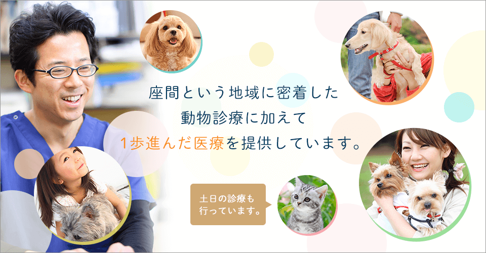 座間という地域に密着した動物診療に加えて1歩進んだ医療を提供しています。土日の診療も行っています。