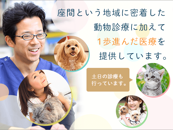 座間という地域に密着した動物診療に加えて1歩進んだ医療を提供しています。土日の診療も行っています。